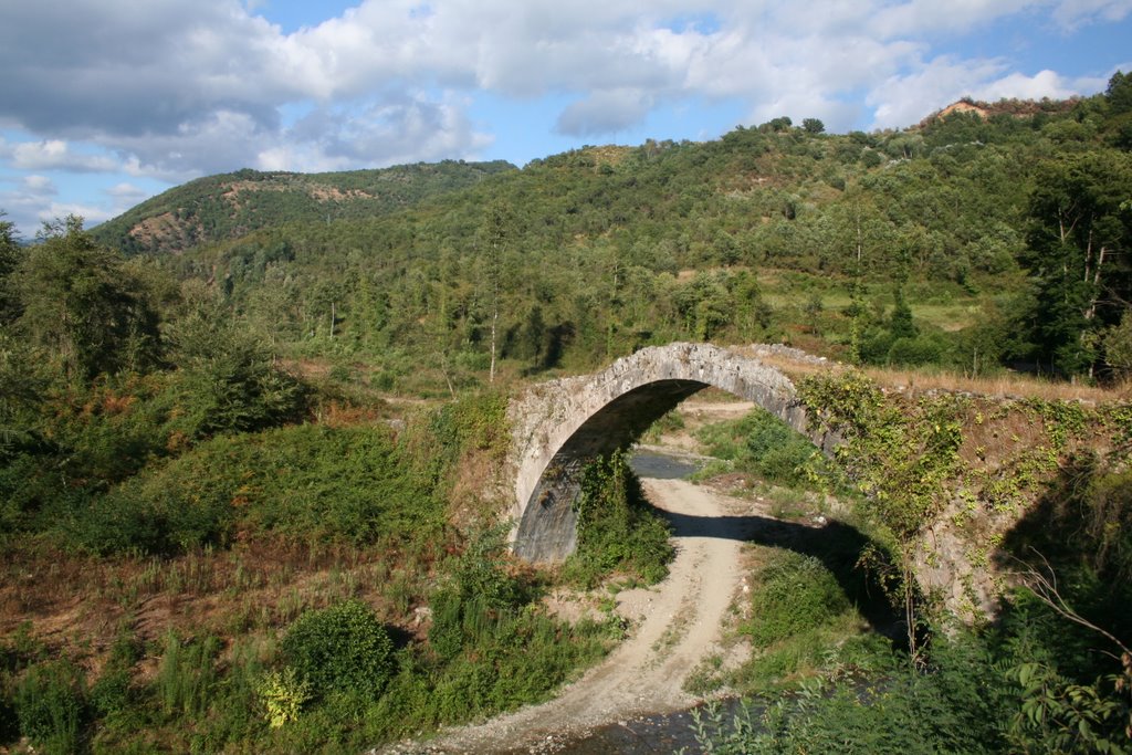 Römische Brücke genannt von "Hannibal" - Scigliano (Cs)